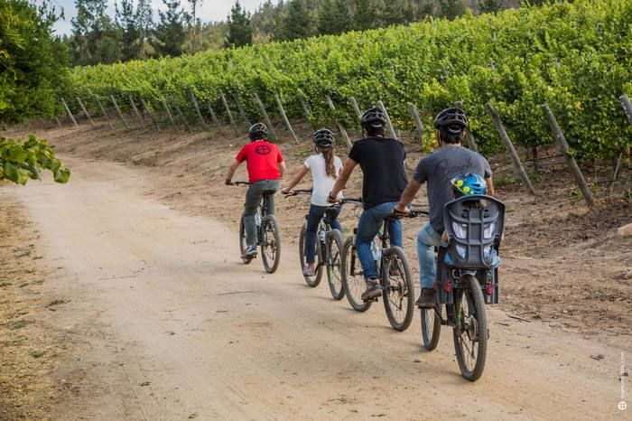 Vineyard bike ride