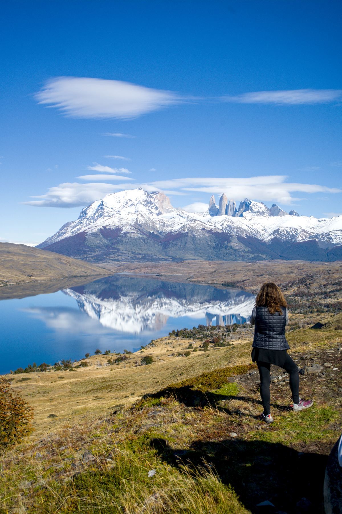 Torres del Paine viewpoint